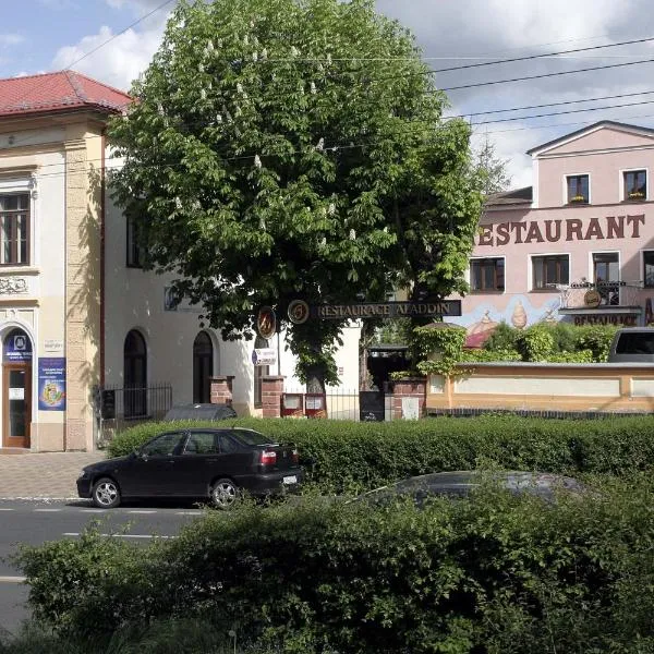 阿拉丁裴森酒店，位于Mikulov v Krušných Horách的酒店