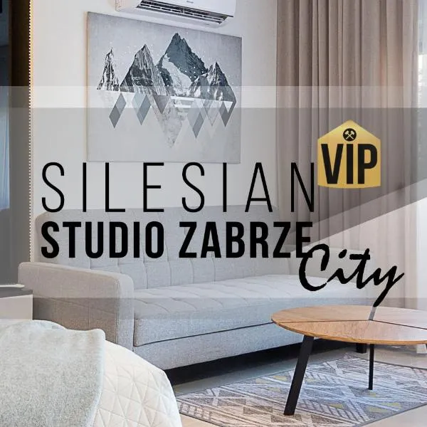 Studio Silesian Vip City Centrum Free Parking，位于扎布热的酒店