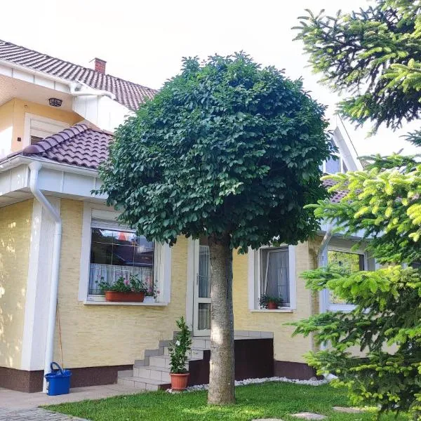 Oázis Apartman，位于桑托德的酒店