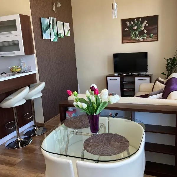 Apartman HIGHTATRAS VIEW Centrum Poprad，位于波普拉德的酒店