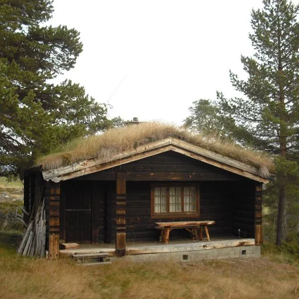 卢萨特小木屋酒店，位于Storrvik的酒店