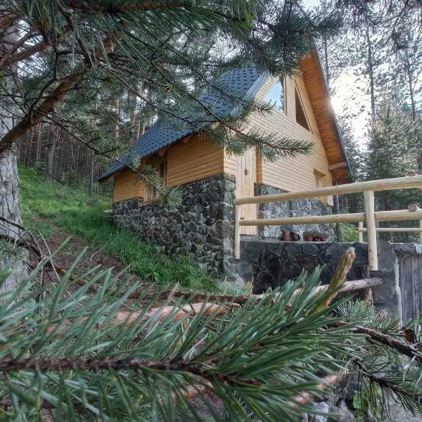 Garac Zlatibor Vikendica，位于兹拉蒂博尔的酒店