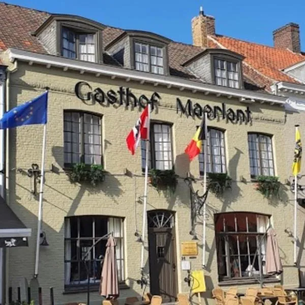 Gasthof Maerlant，位于达默的酒店