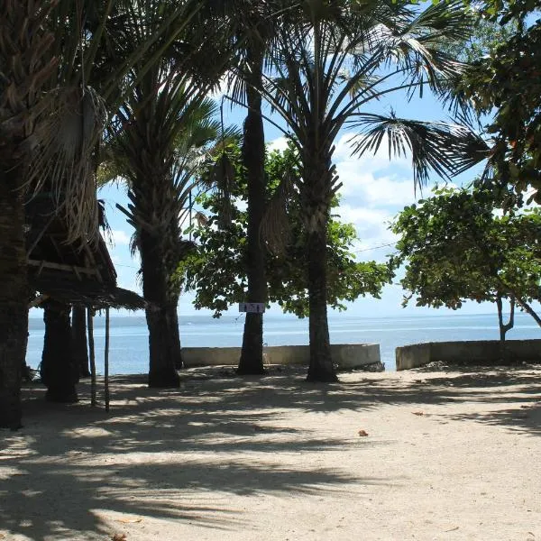J & C Beach Resort，位于Tabuelan的酒店