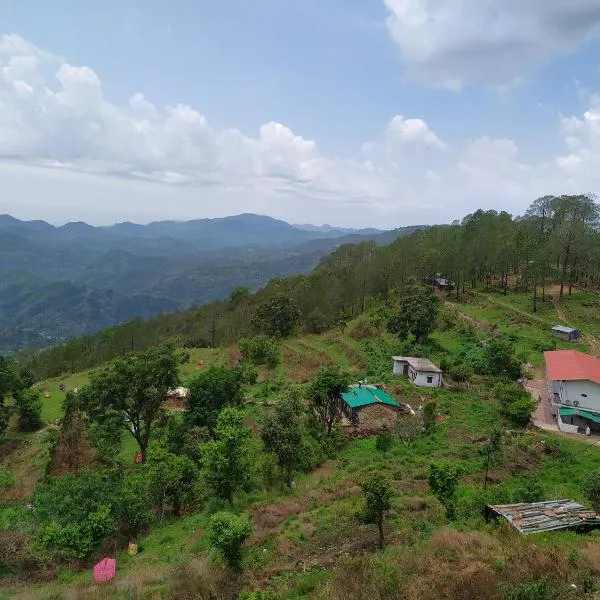 The Green Pine Cottage，位于兰斯顿的酒店