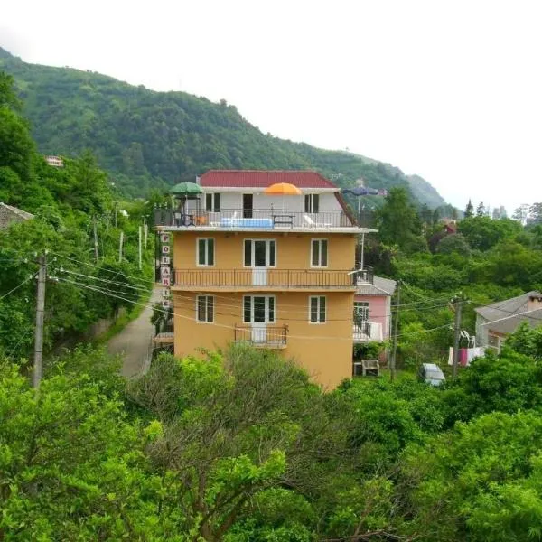 Guest house polaris，位于高尼奥的酒店