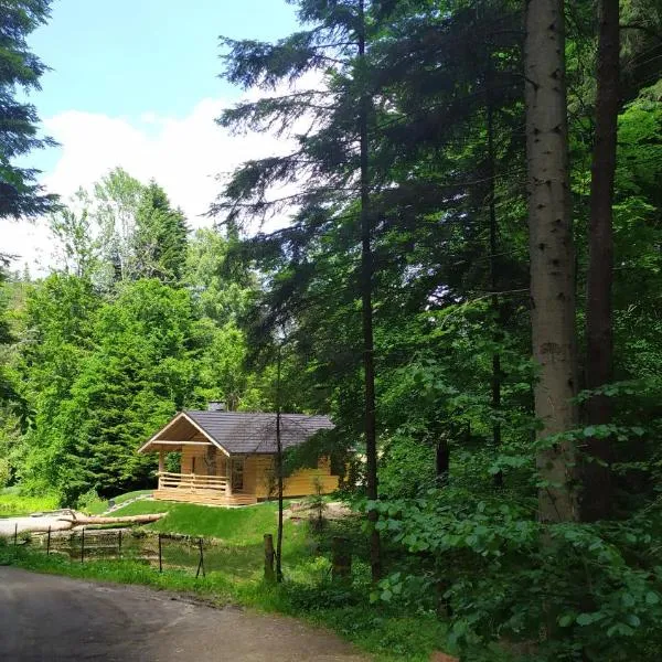 Bieszczady Domek Nad Stawem，位于莱斯科的酒店