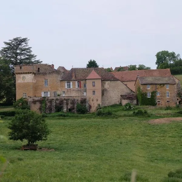 Le Gros Chigy Château，位于Saint-André-le-Désert的酒店