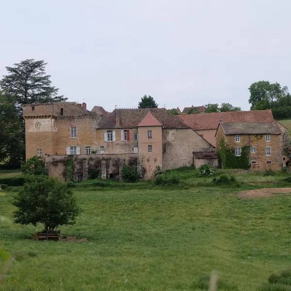 Le Gros Chigy Château，位于Sigy-le-Châtel的酒店