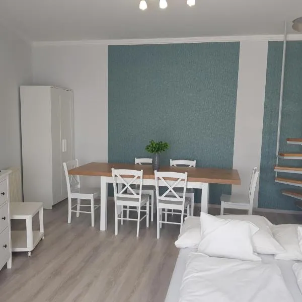 Zoli Apartmanok-Adri Kölcsey 32，位于霍尔托巴吉的酒店