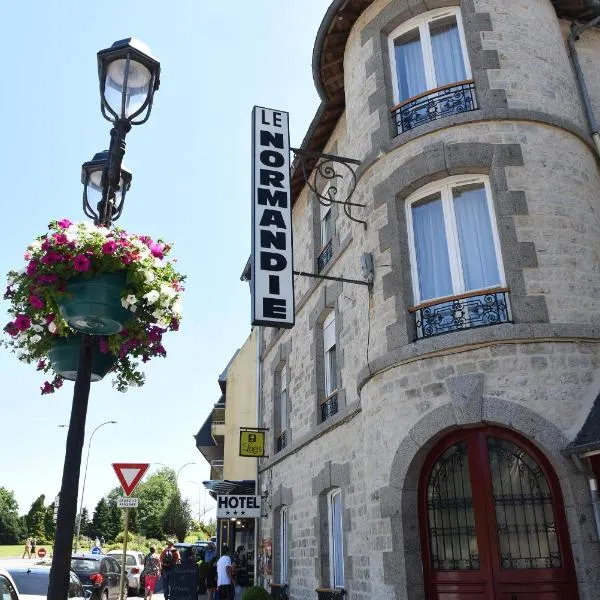 Hôtel Normandie Spa，位于La Sauvagère的酒店