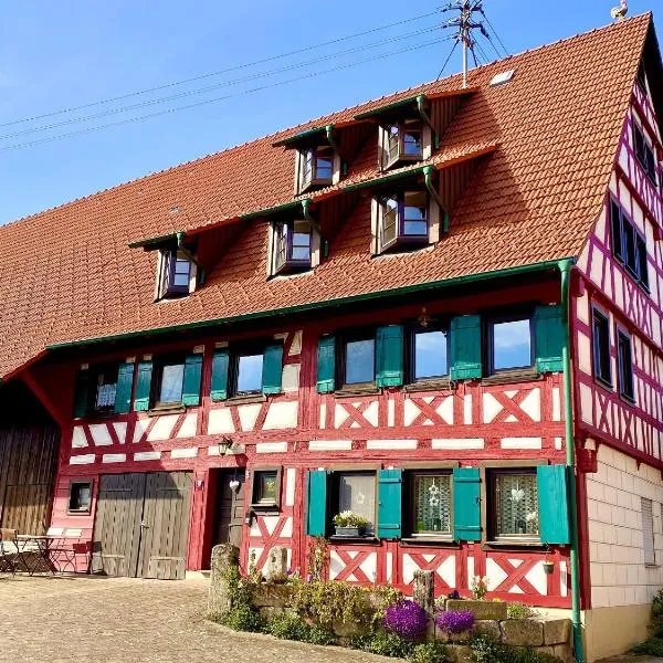 Ferienwohnungen Im Eugenhaus，位于Rosenfeld的酒店