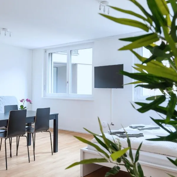 HITrental Messe Apartments，位于巴塞尔的酒店