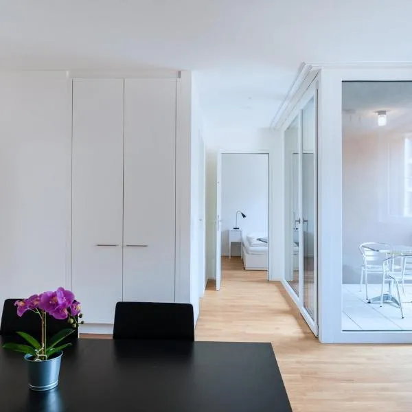 HITrental Messe Apartments，位于巴塞尔的酒店