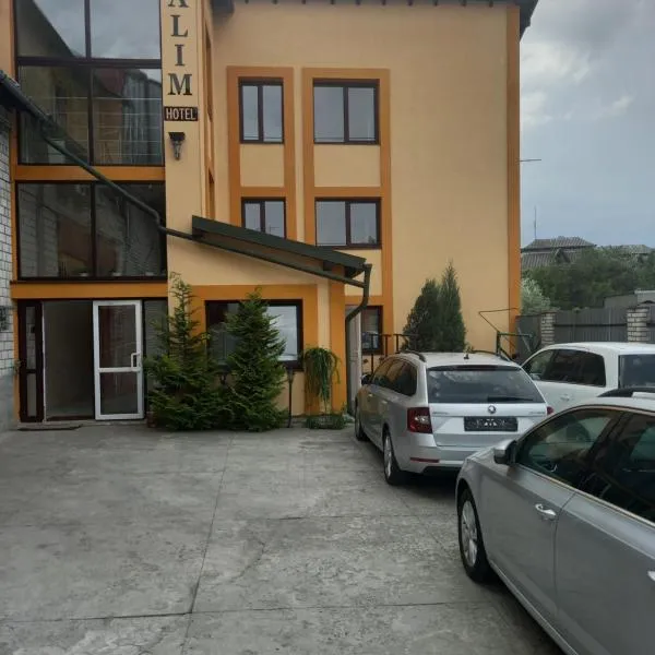 DALIM，位于Nizhneye Sinevidnoye的酒店