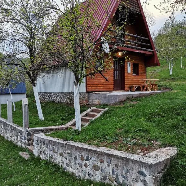 Ethno Cottage Momo Tepca，位于Šljuke的酒店