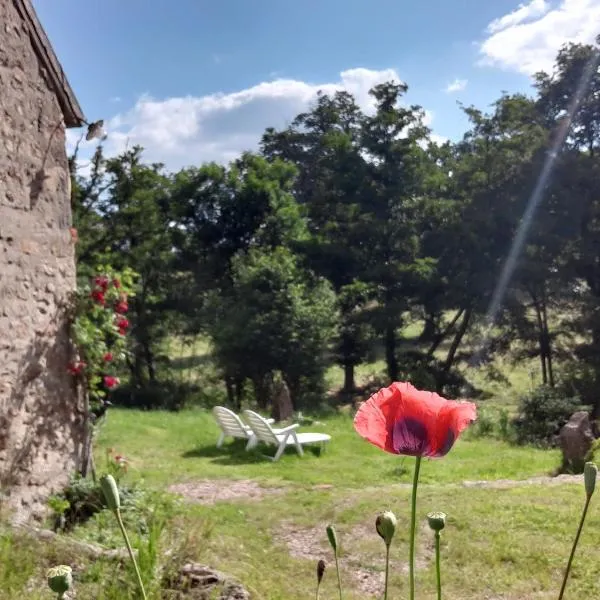 Magnifique Moulin au bord d'une riviere, calme absolu, piano，位于Doyet的酒店