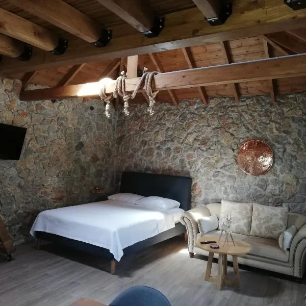 Olympus Country House，位于Kariá的酒店