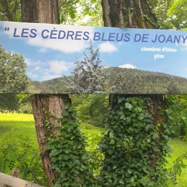 Les Cèdres Bleus de Joany，位于Aubin的酒店