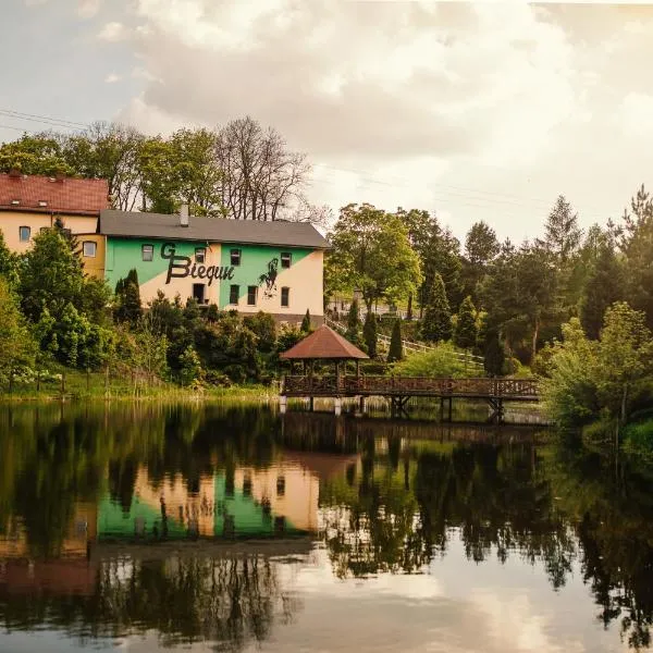 Dom Gościnny BIEGUN，位于Głuszyca Górna的酒店