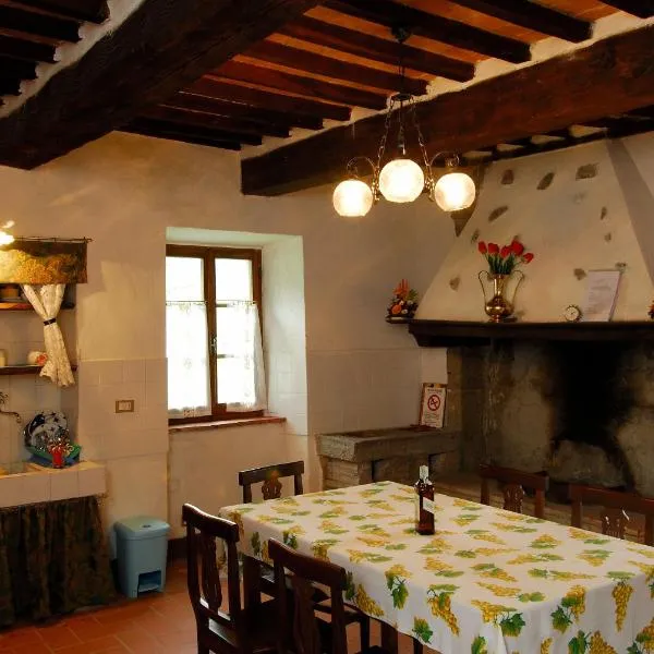 A stay surrounded by greenery - Agriturismo La Piaggia -app 3 guests，位于Vivo dʼOrcia的酒店
