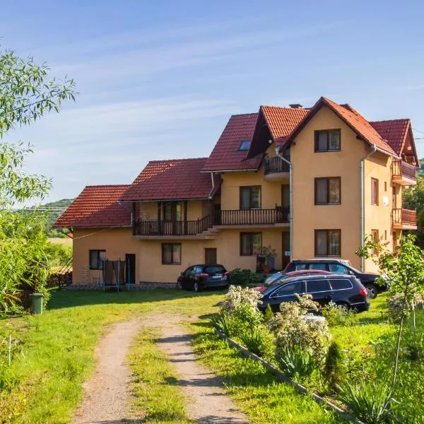 Sóhegy Panzió，位于Vărşag的酒店