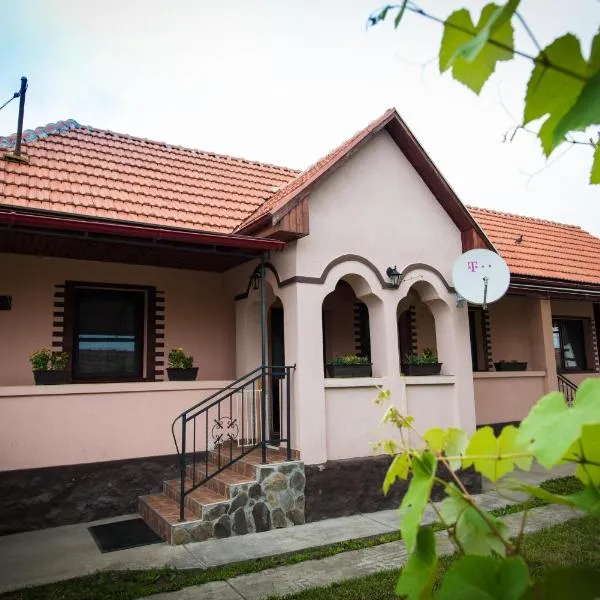 Erika's Holiday Cottage，位于Cristeşti的酒店