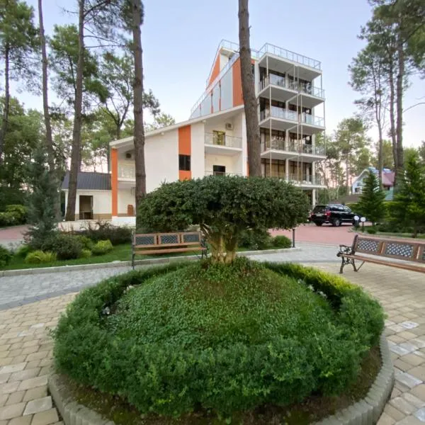 Buxus Hotel Shekvetili，位于谢赫维蒂利的酒店