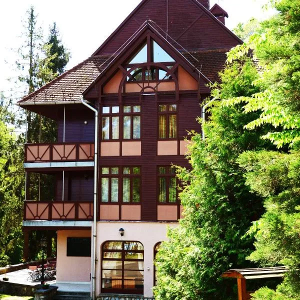 Ezüstfenyő Hotel，位于泰尔基巴尼奥的酒店