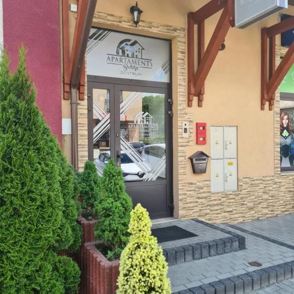 Apartamenty Bełska Centrum，位于下乌斯奇基的酒店