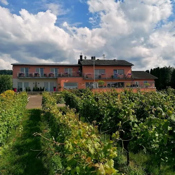 Weingut Tiliahof，位于布劳讷贝格的酒店