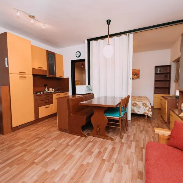 Sky Residence II - Comfort Apartments in Aprica，位于阿帕里卡的酒店