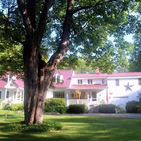 惊喜山梧桐住宿加早餐旅馆，位于北康威的酒店