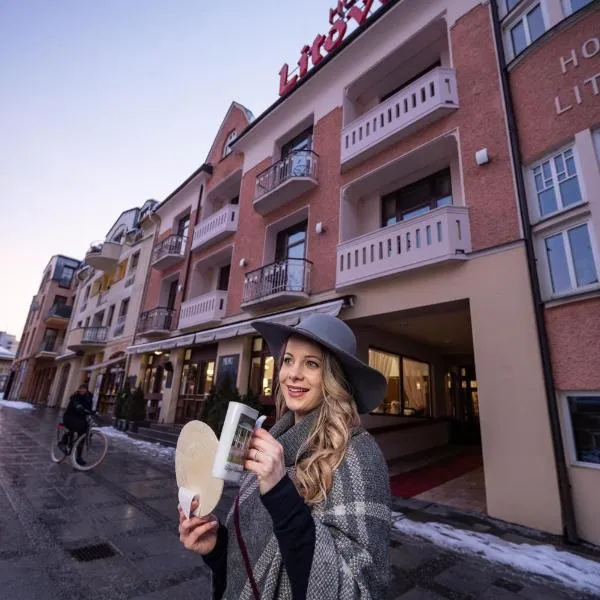 Hotel Litovel，位于Nezdenice的酒店