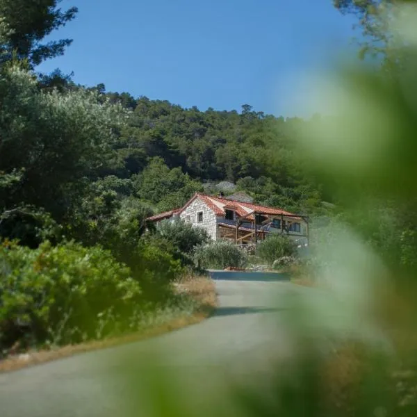 Olive Hill Familly House，位于维斯的酒店