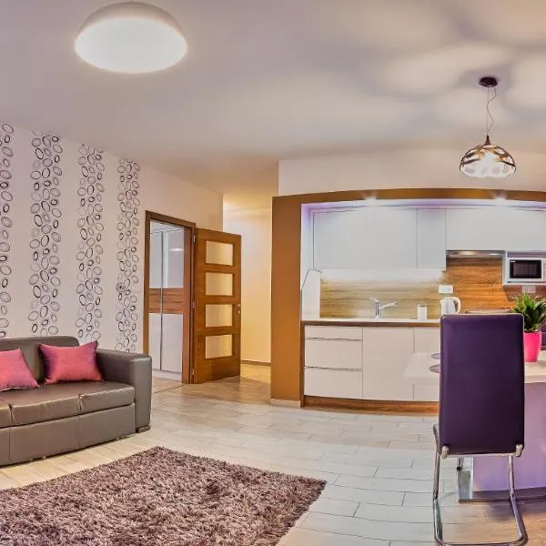 Apartman Rubin，位于萨尔瓦尔的酒店