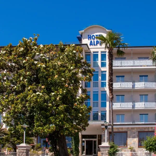 阿尔皮酒店，位于奥尔纳瓦索的酒店