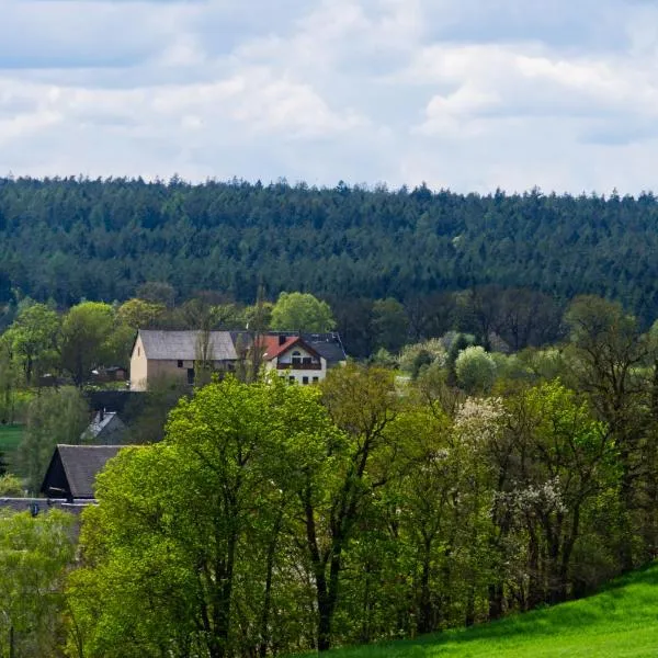 Pferdeparadies Wallengrün，位于Pausa的酒店