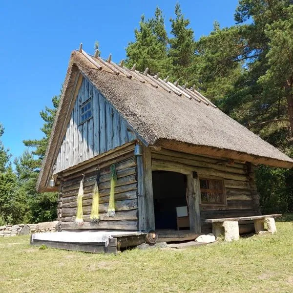 Elamusmajutus Intsu Võrgukuuris，位于Kallaste的酒店