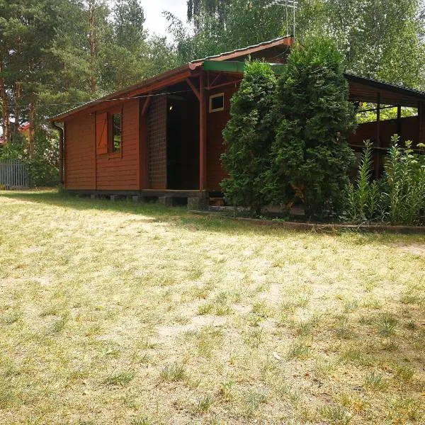 domki domek na jeziorem Wilczyńskim Budzisławskim , las, osobno ogrodzony 2-6 osób- klimatyzacja, ogrzewanie, 62-550 Zygmuntowo gm Wilczyn，位于Świętne的酒店