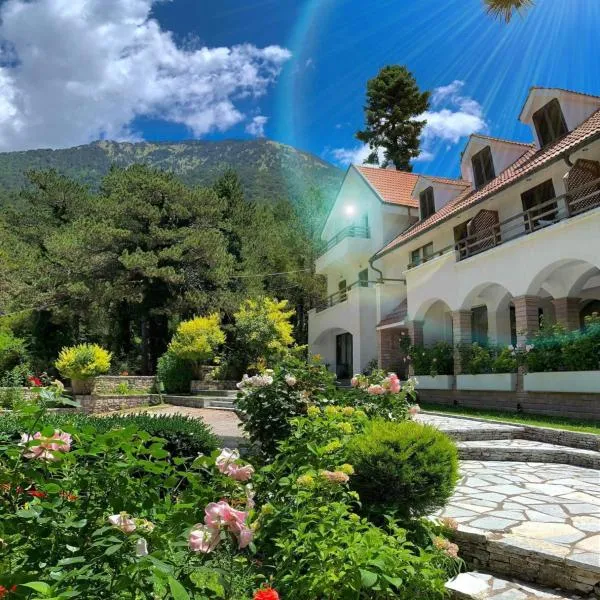 Hotel Alpin Llogara，位于Shalë的酒店