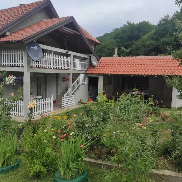 Kuca Drinska dolina，位于Okletac的酒店