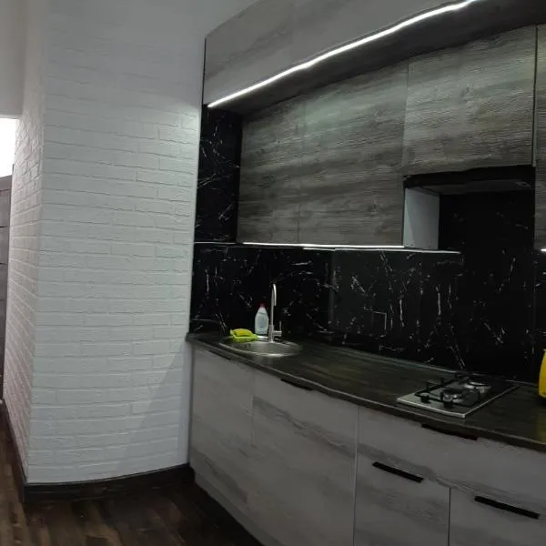 LUX Apartments，位于文尼察的酒店