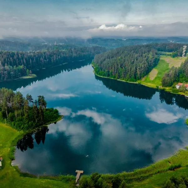 Svečių namai ALDAIVITA，位于Mielagėnai的酒店