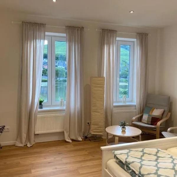 Apartment Hallenbach，位于摩泽尔河畔的泽尔的酒店