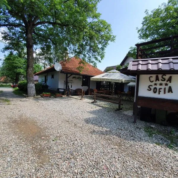 Casa Sofia，位于普雷德鲁特的酒店