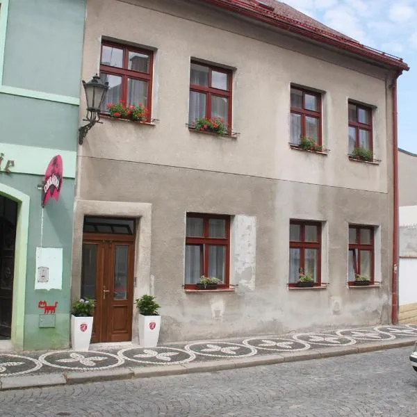 Rezidence U prince č.3，位于伊钦的酒店