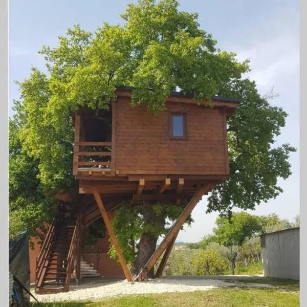Casa sull'Albero Treehouse Costa dei Trabocchi，位于托里诺迪桑格罗的酒店