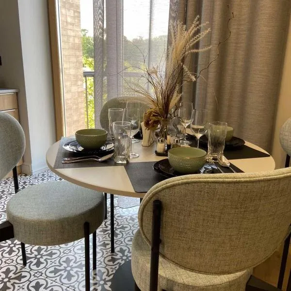 Lux appartments в центре города в стиле Loft，位于文尼察的酒店