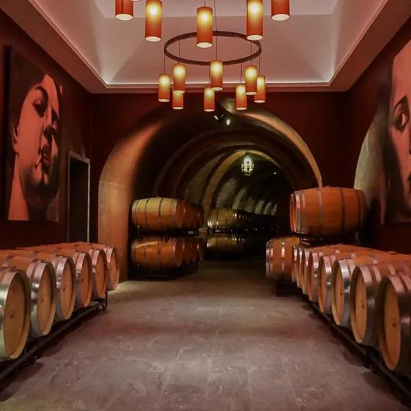 Hotel Vinícola Real-200 Monges，位于阿尔贝尔达德里瓜的酒店